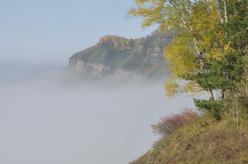 На утёсе в тумане фото превью