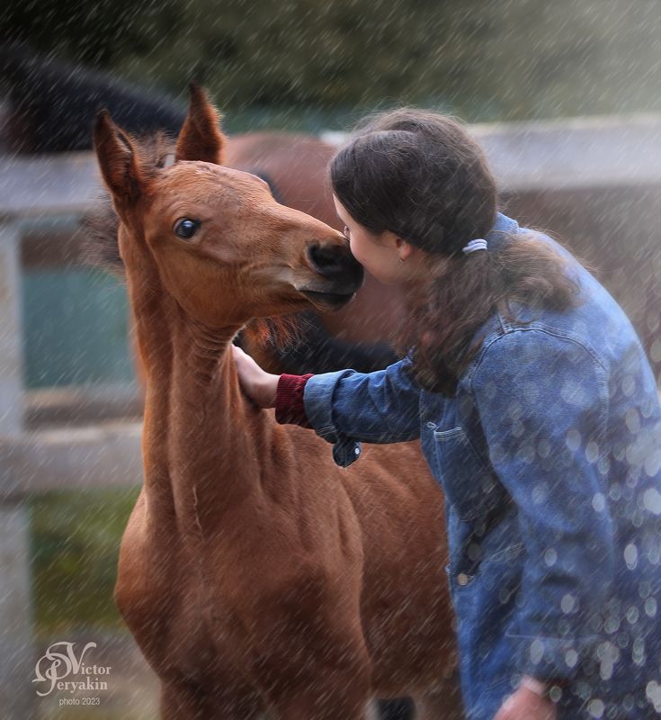 Здравствуй, милый Мартин! фото превью