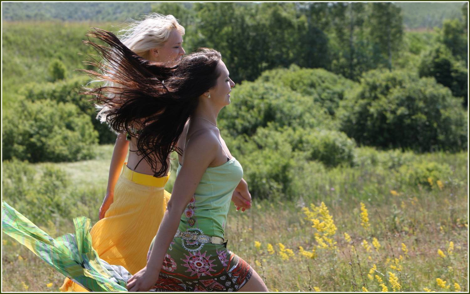 , Владимир Краснов