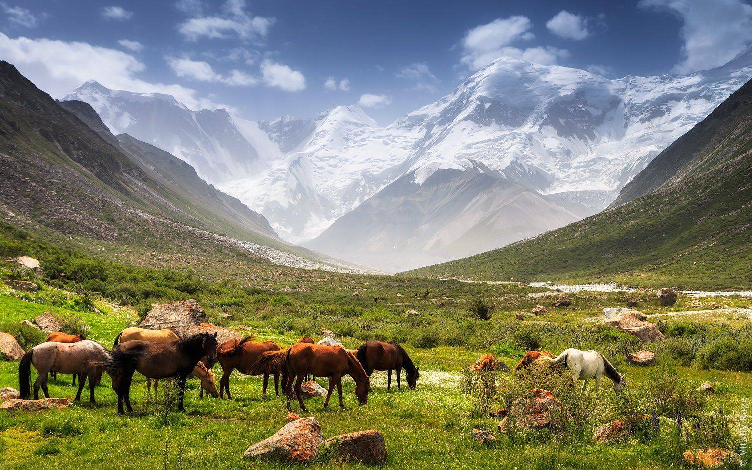 казахстан, горы, Vitaliy Rage