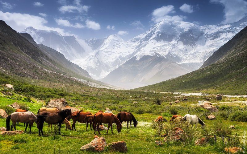 казахстан, горы Высота фото превью