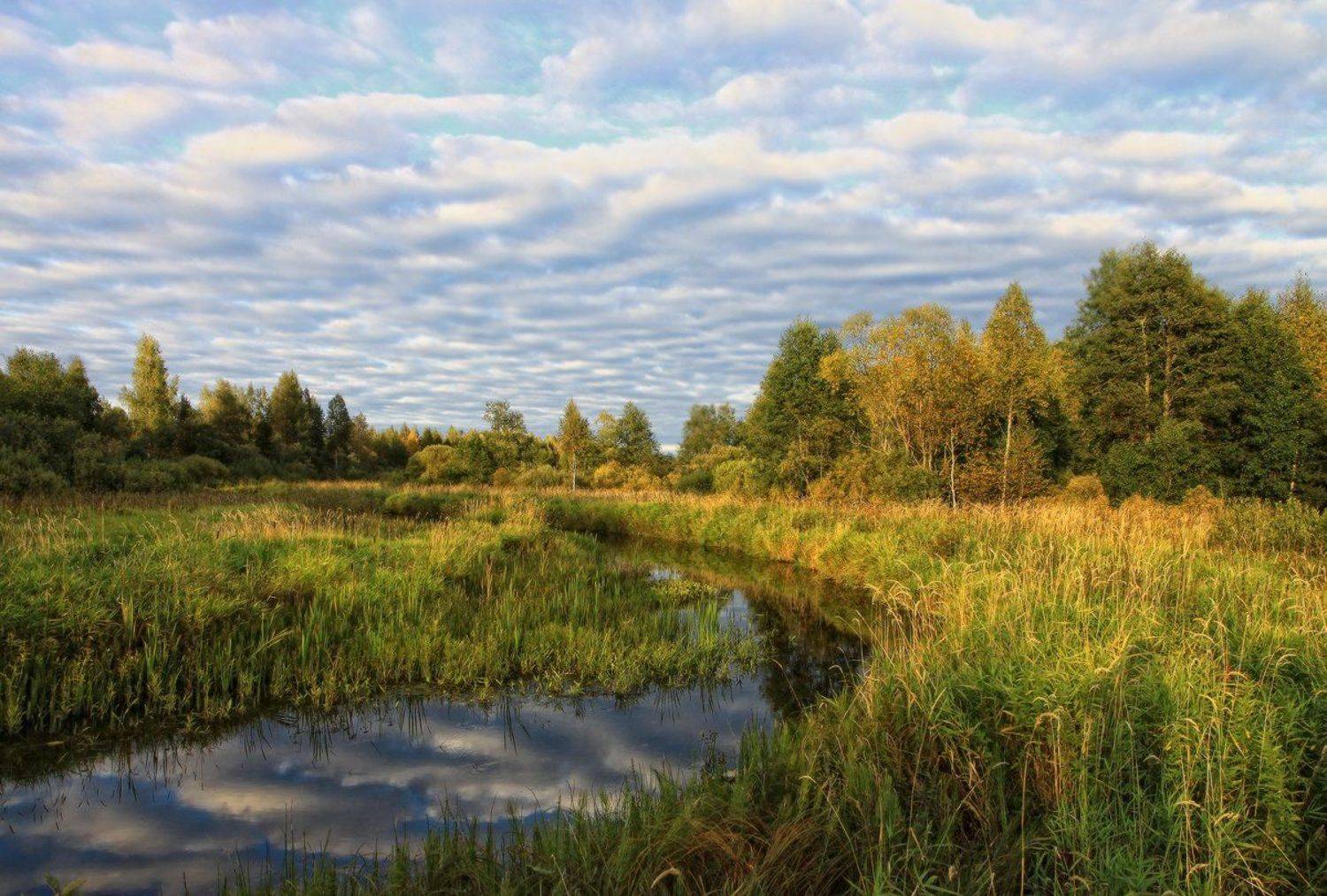тверская область, сентябрь, осень, река, Галина Хвостенко