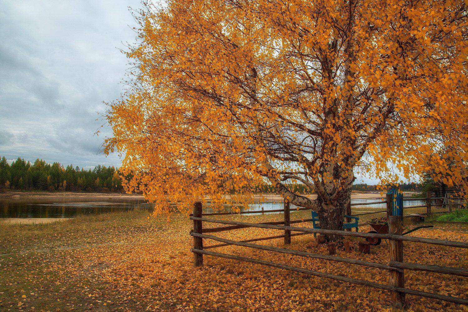 , Поташев Александр