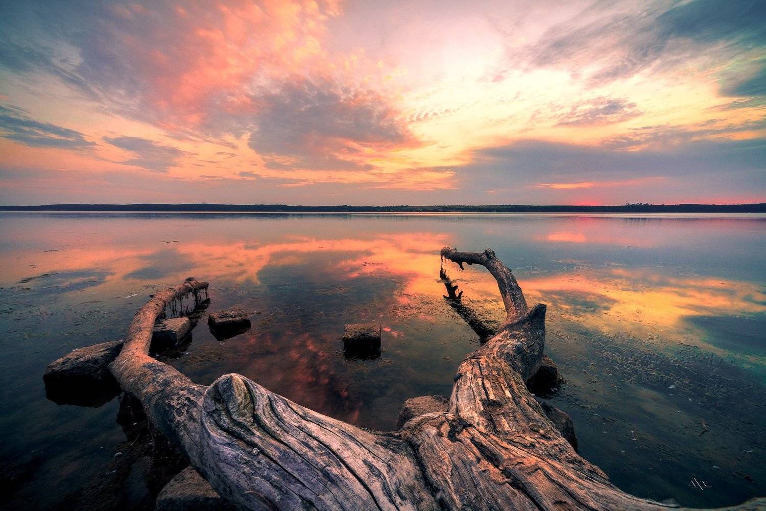 Curoniain gulf, Landscape, Lithuania, Sunset, Tree, Руслан Болгов (Axe)