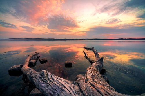 Куршские монстры