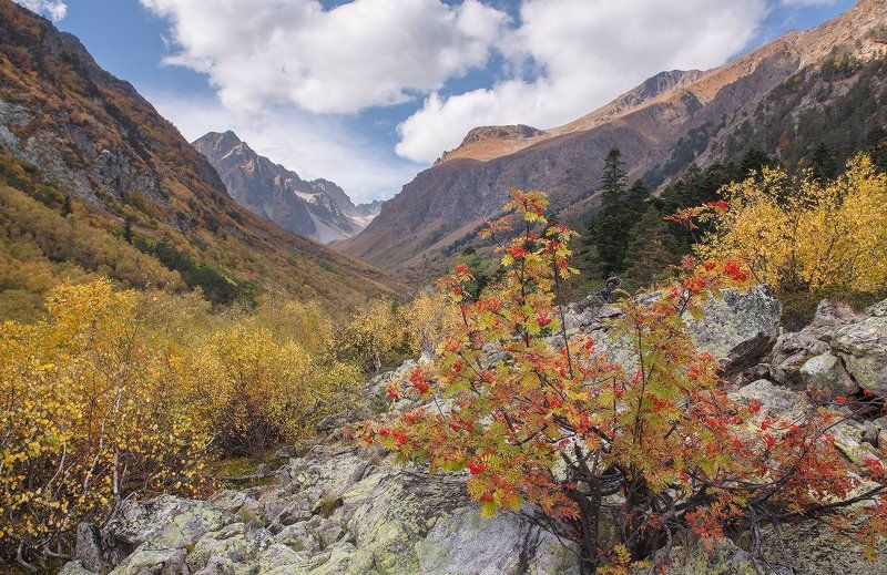 Рябина красная. Бадукская осень. фото превью