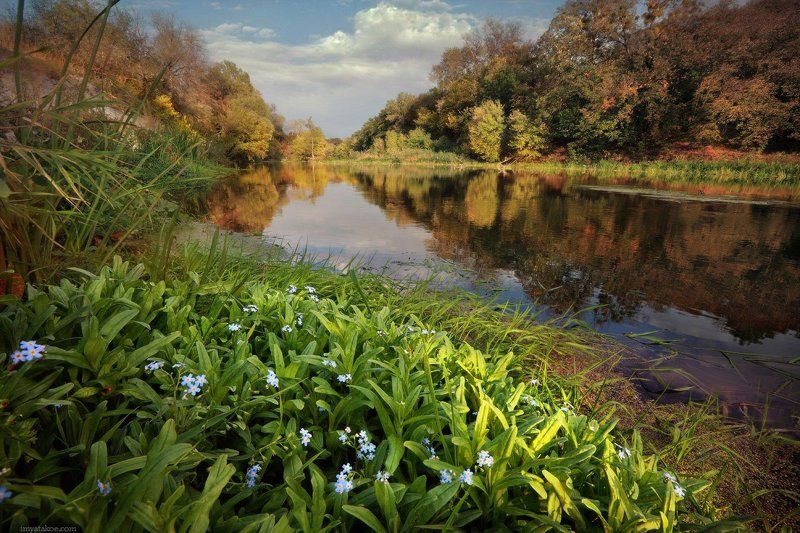 У реки фото превью