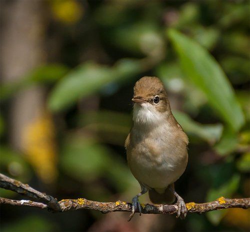 А я вот такая!!!