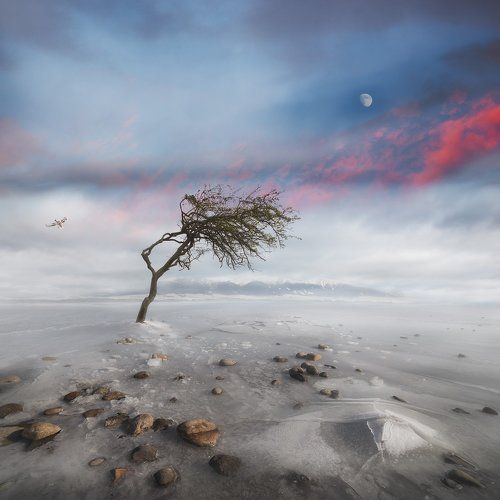 Bright Side Of The Moon