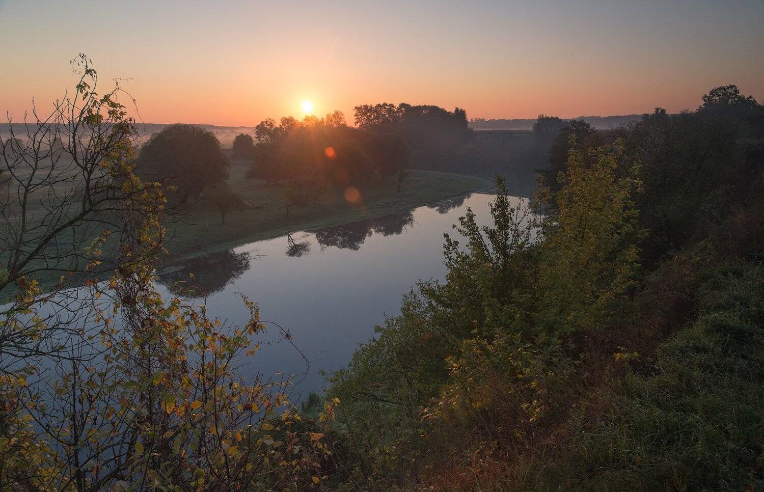 , Николай Шахманцир