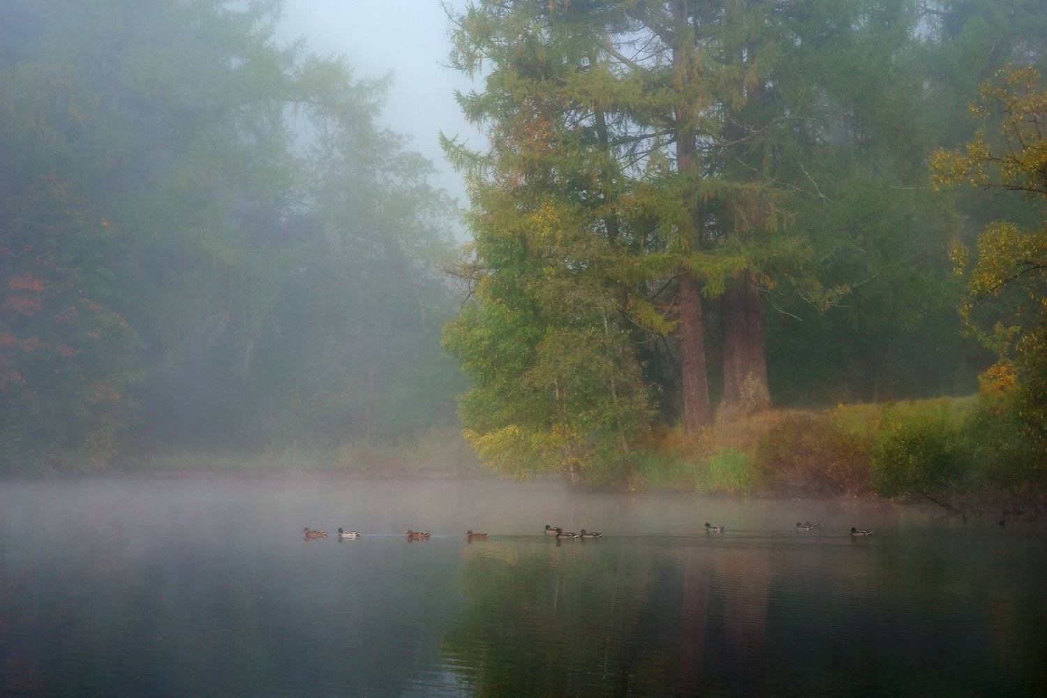 ленинградская, область, Евгений Ляпунов