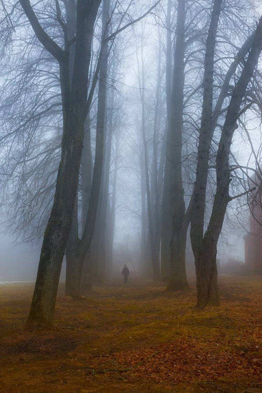 , Анна Кудрявцева