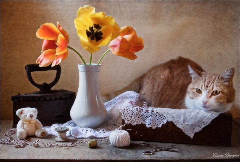 Мягкие игрушки фото превью