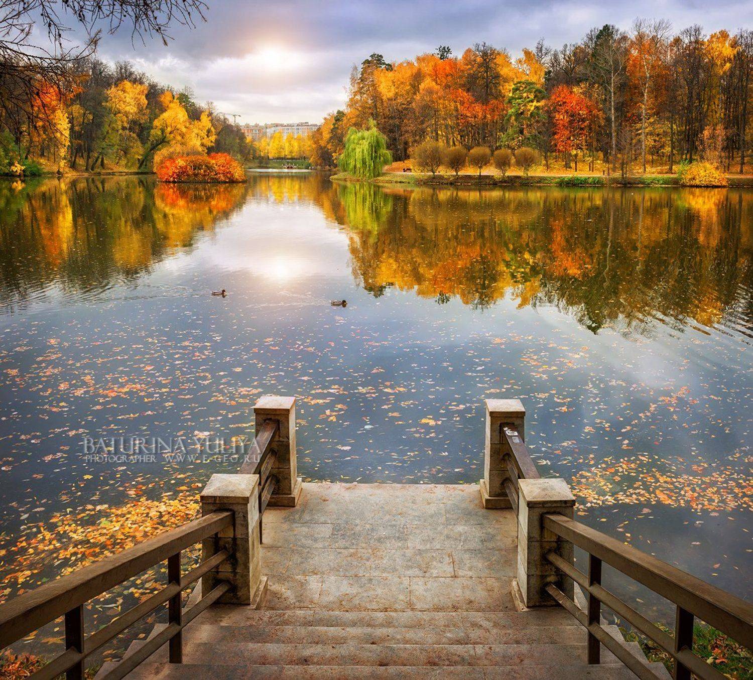 осень, Царицыно, Москва, пейзаж, пруд, отражение, мост, Юлия Батурина