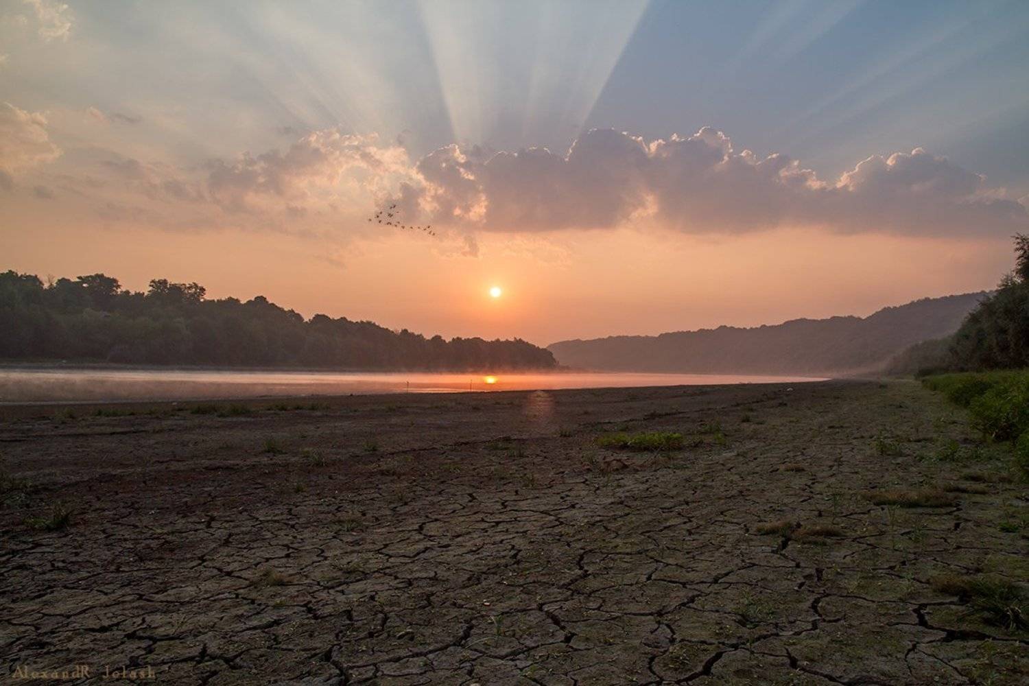 , Єлаш Александр