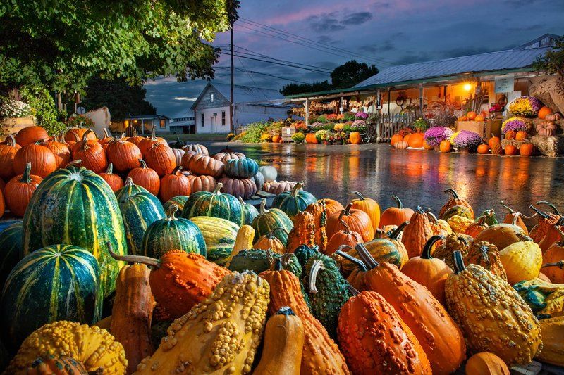 Fall Produce Market фото превью