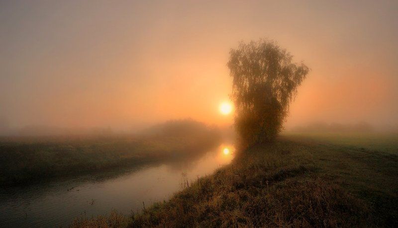Тишина.. фото превью