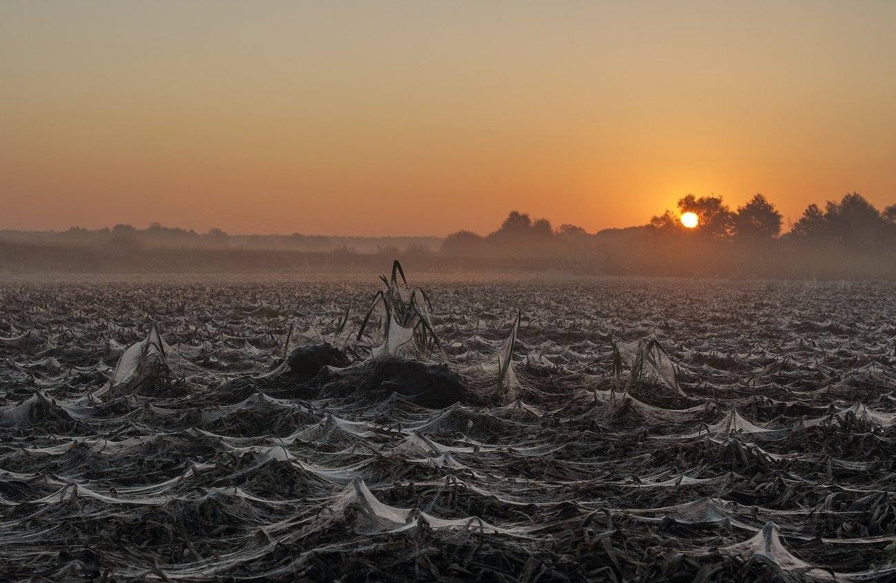 , Володимир Карчевський