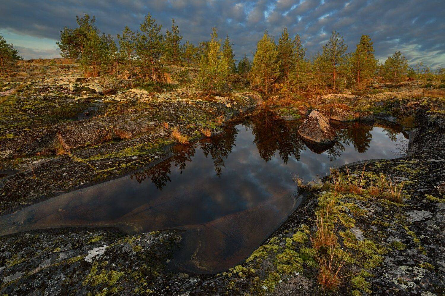 , Максим Евдокимов