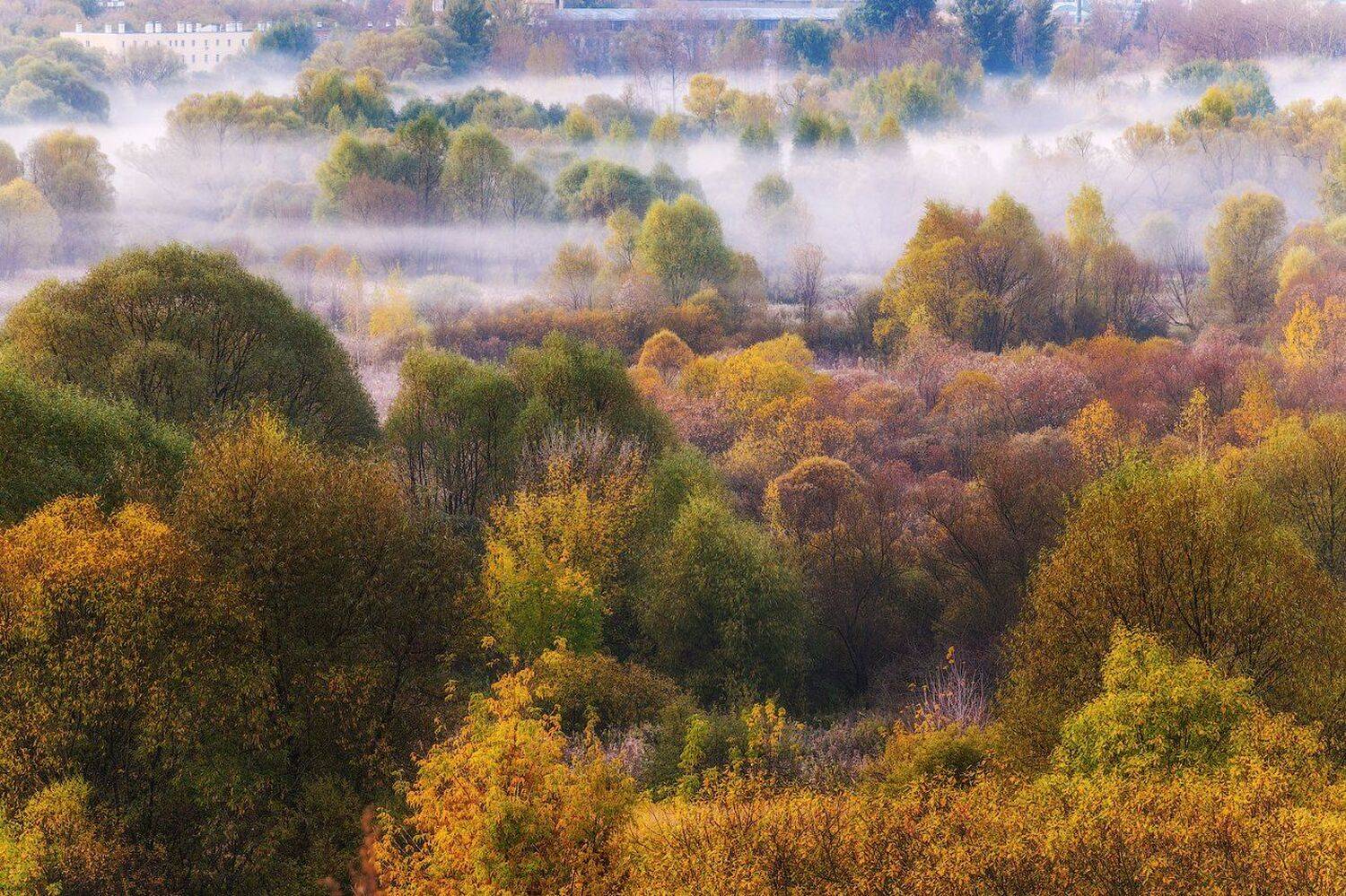 Москва, Осень, Пейзаж, Природа, Сходненский ковш, Сергей Вьюнов