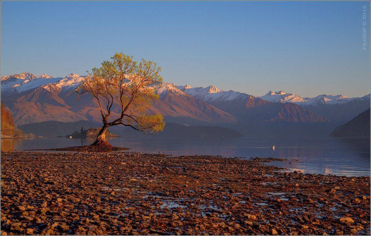 , Геннадий FILOSOF Шатов