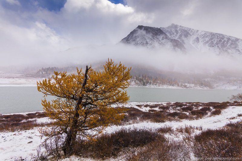 Алтай, Белуха, Горы, Озеро, Осень, Туман Под покрывалом тумана фото превью