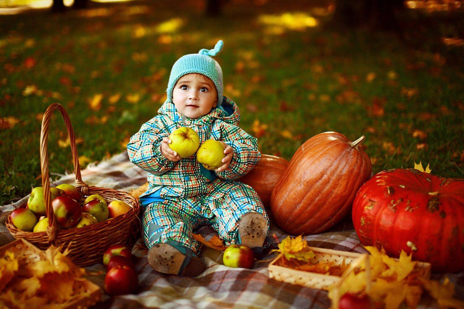 семья, счастье, осень, россия, дети, ребенок, москва, мальчик, младенец, парк, закат, золото, Estetika