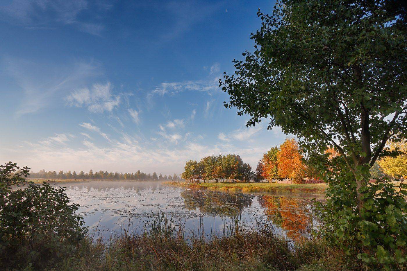 Беларусь, Вилейщина, Озеро, Октябрь, Осень, Туман, Утро, Вейзе Максим