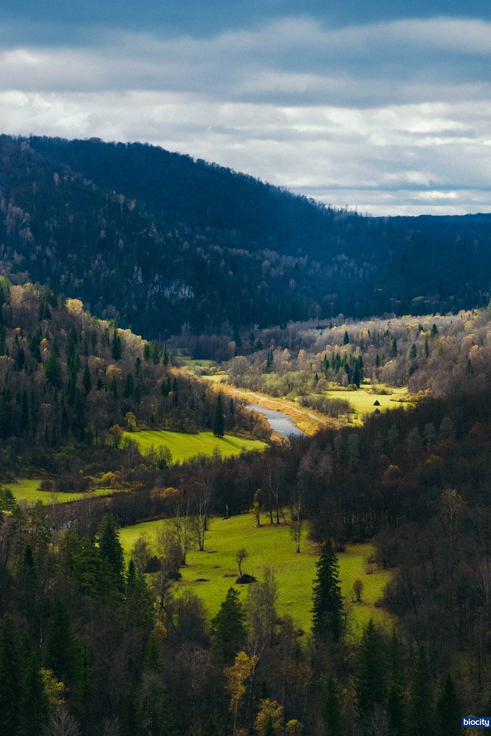 Biocity, BiocityMonte, Nature, Долина, Пашакарпенко, Пейзаж, Природа, Biocity Monte