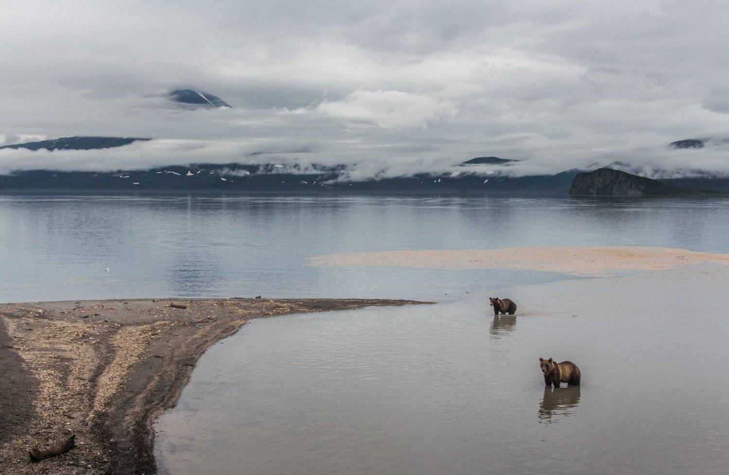 камчатка, курильское озеро, медведи, озеро, отражения, рыбаки, Ирина Назарова