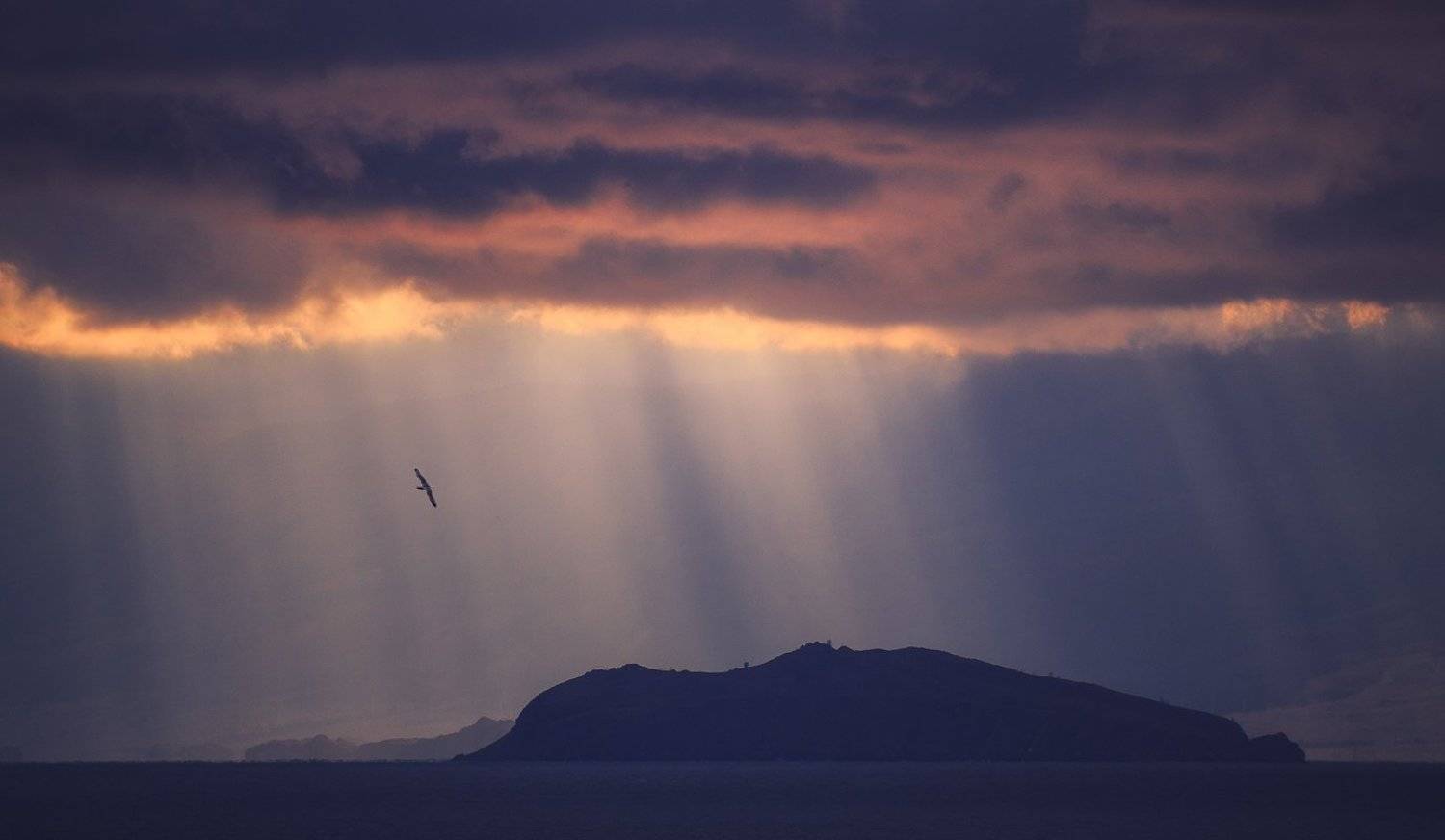 , Минаев Павел