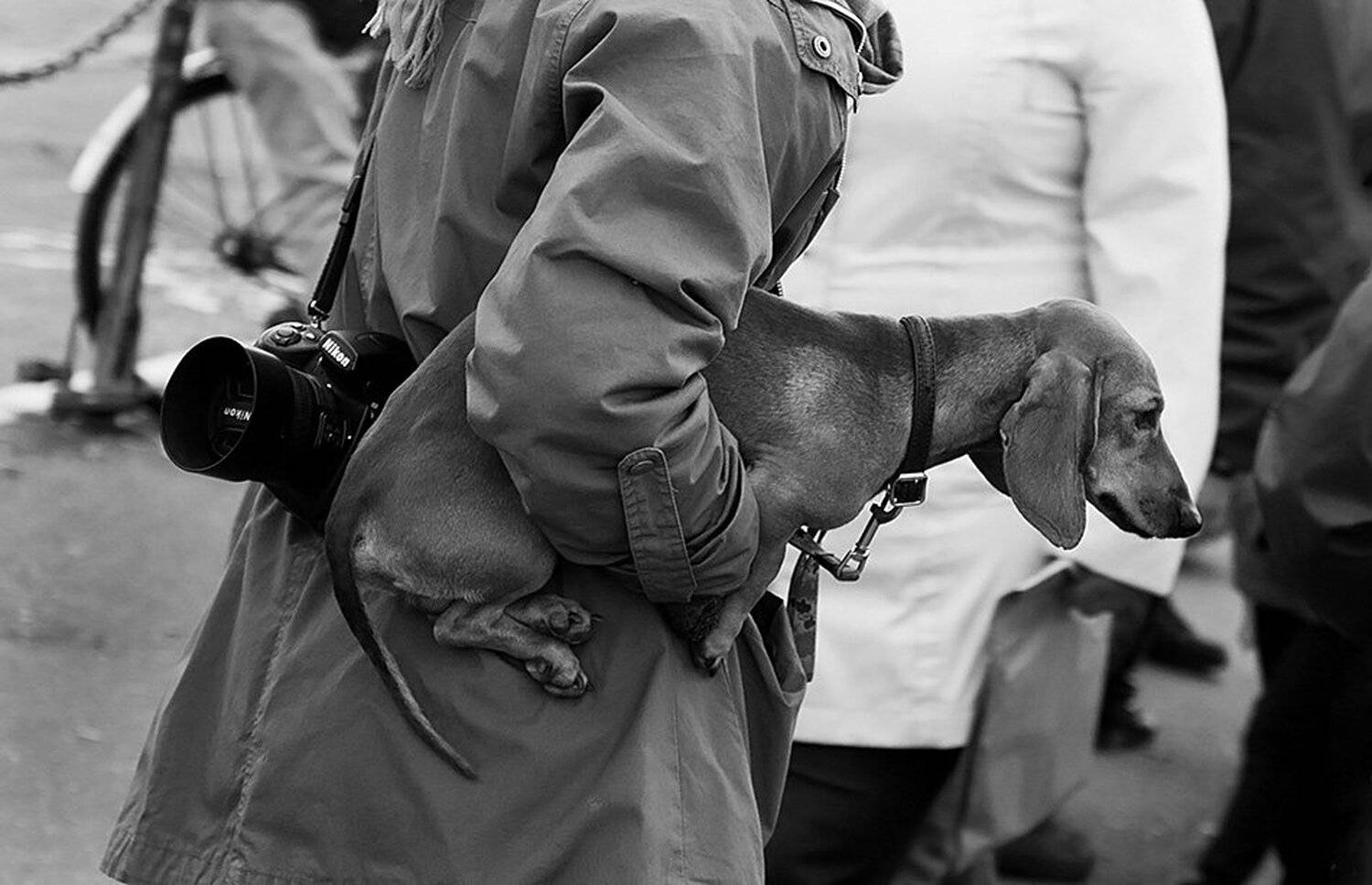 , Анатолий Зинкевич