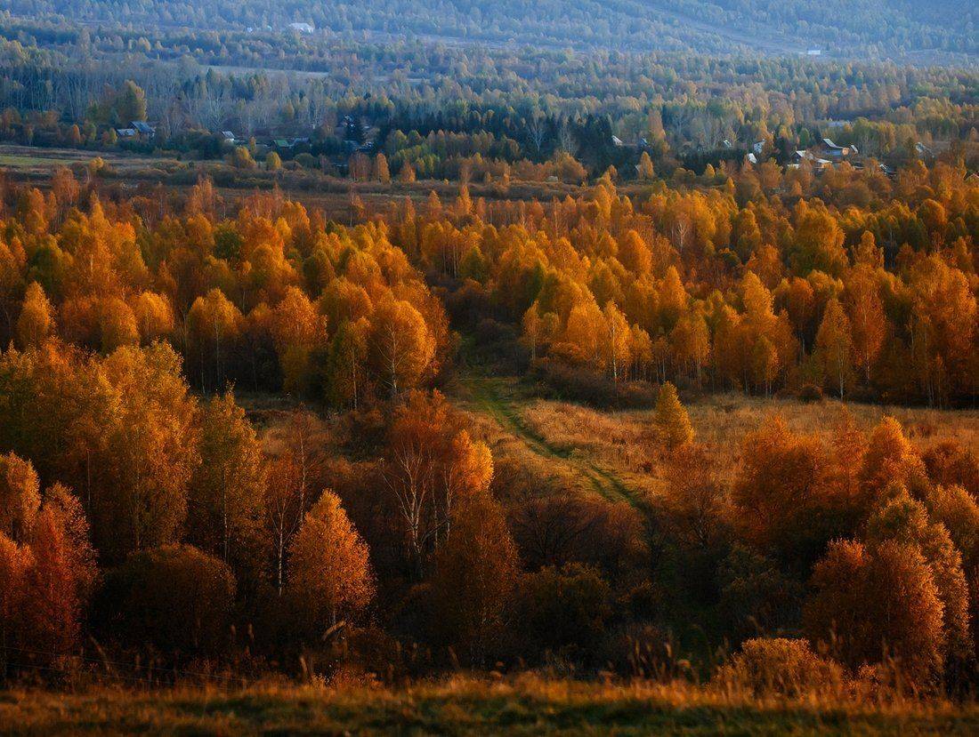 , Ратушнова-Осинцева Арина