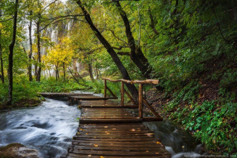 Хорватия. Плитвицкие озера. Дорога к водопаду-2 фото превью