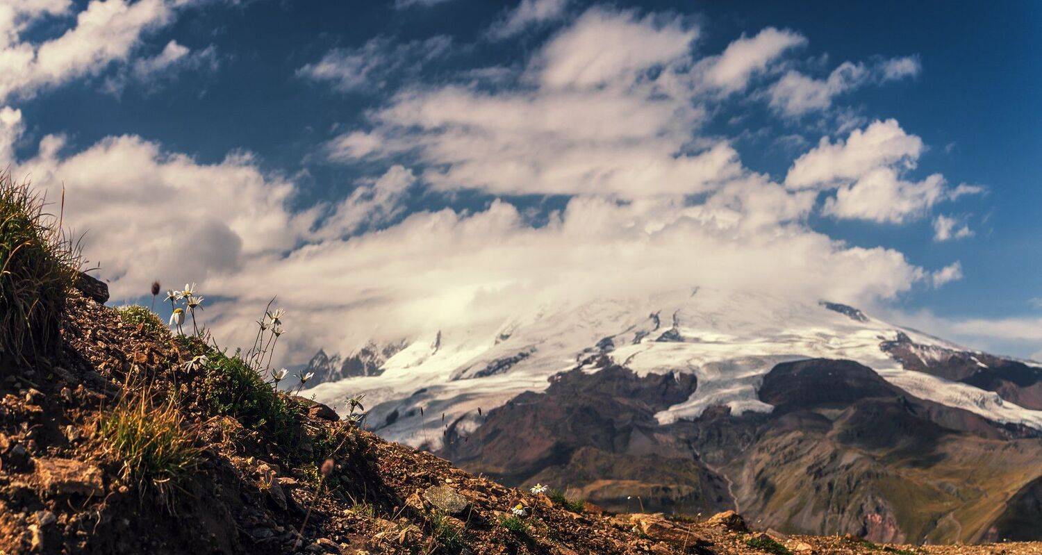 , Игорь Мелекесцев