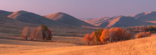 Скромное очарование осени