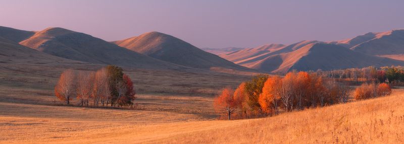 Скромное очарование осени