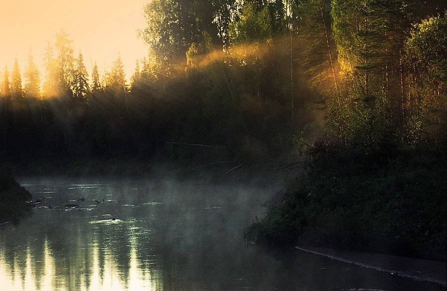 , Павел Мартюшев