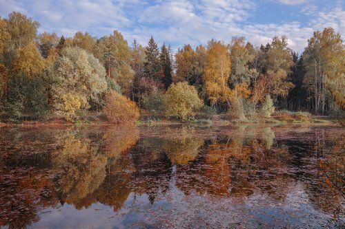 Осень красит...