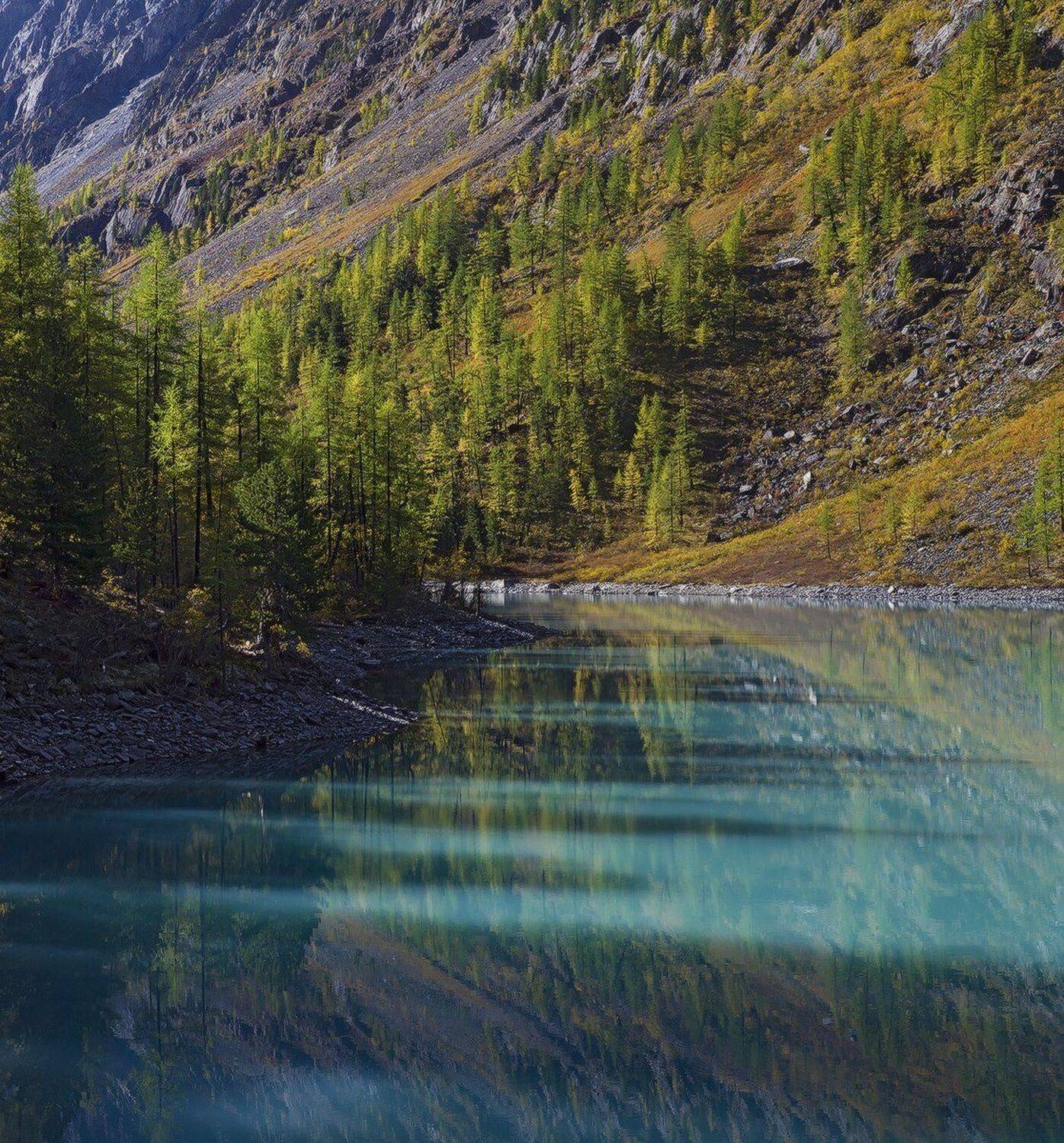 , Лещёнок Александр