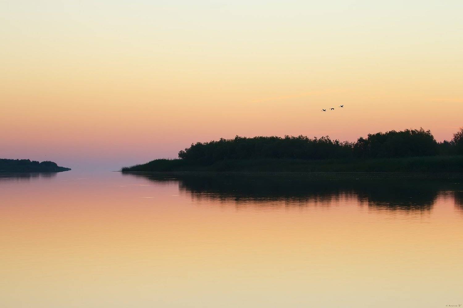 утро,река,Дунай,природа, Andrew Key