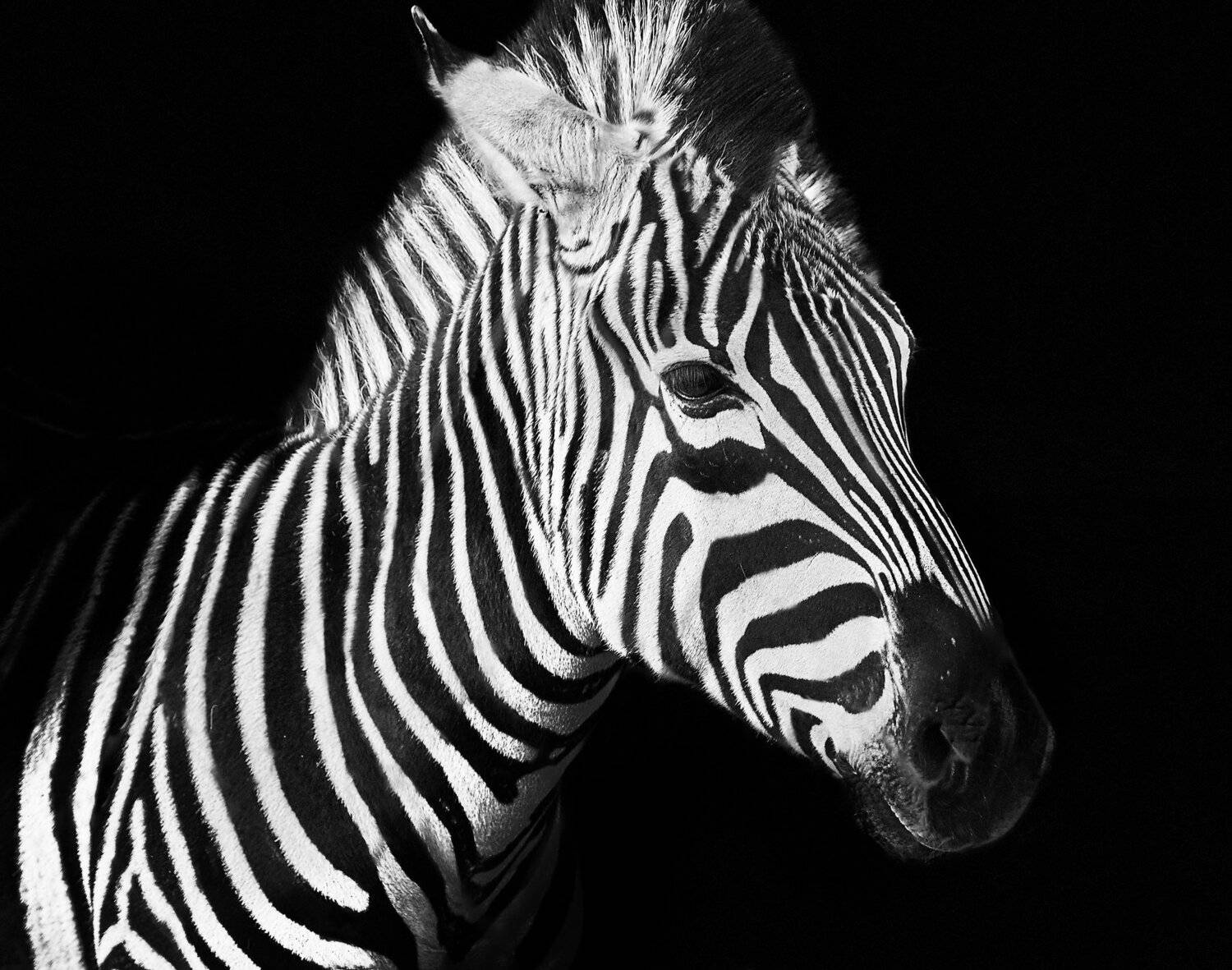 , Олег Богданов