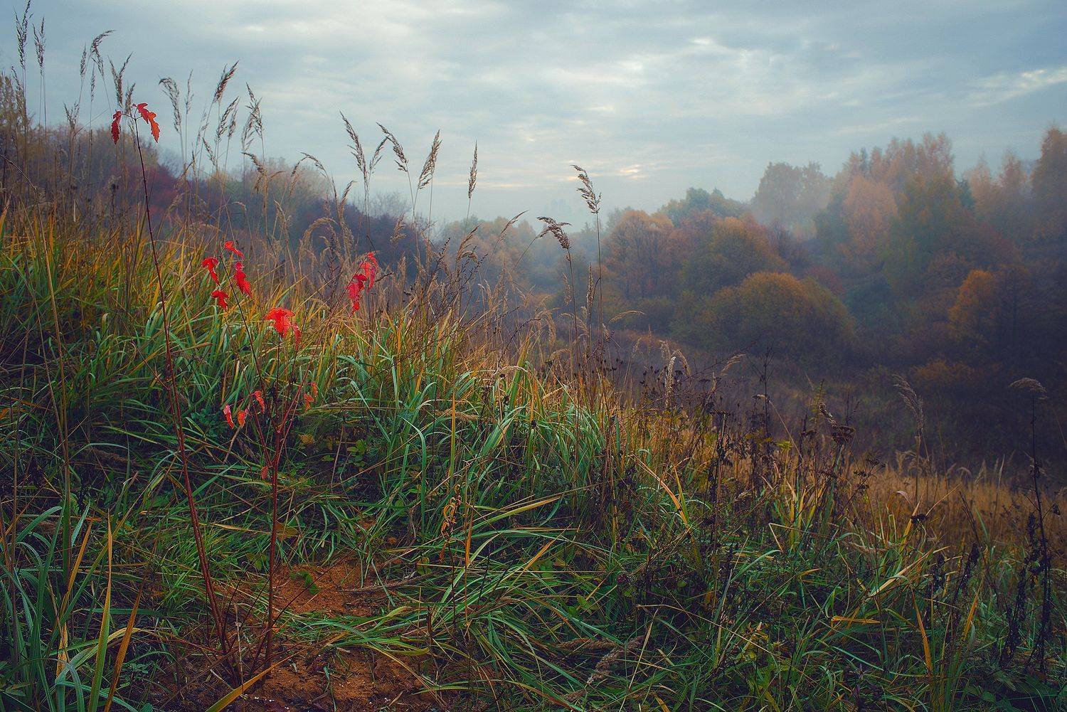 , Алексей Бордуков