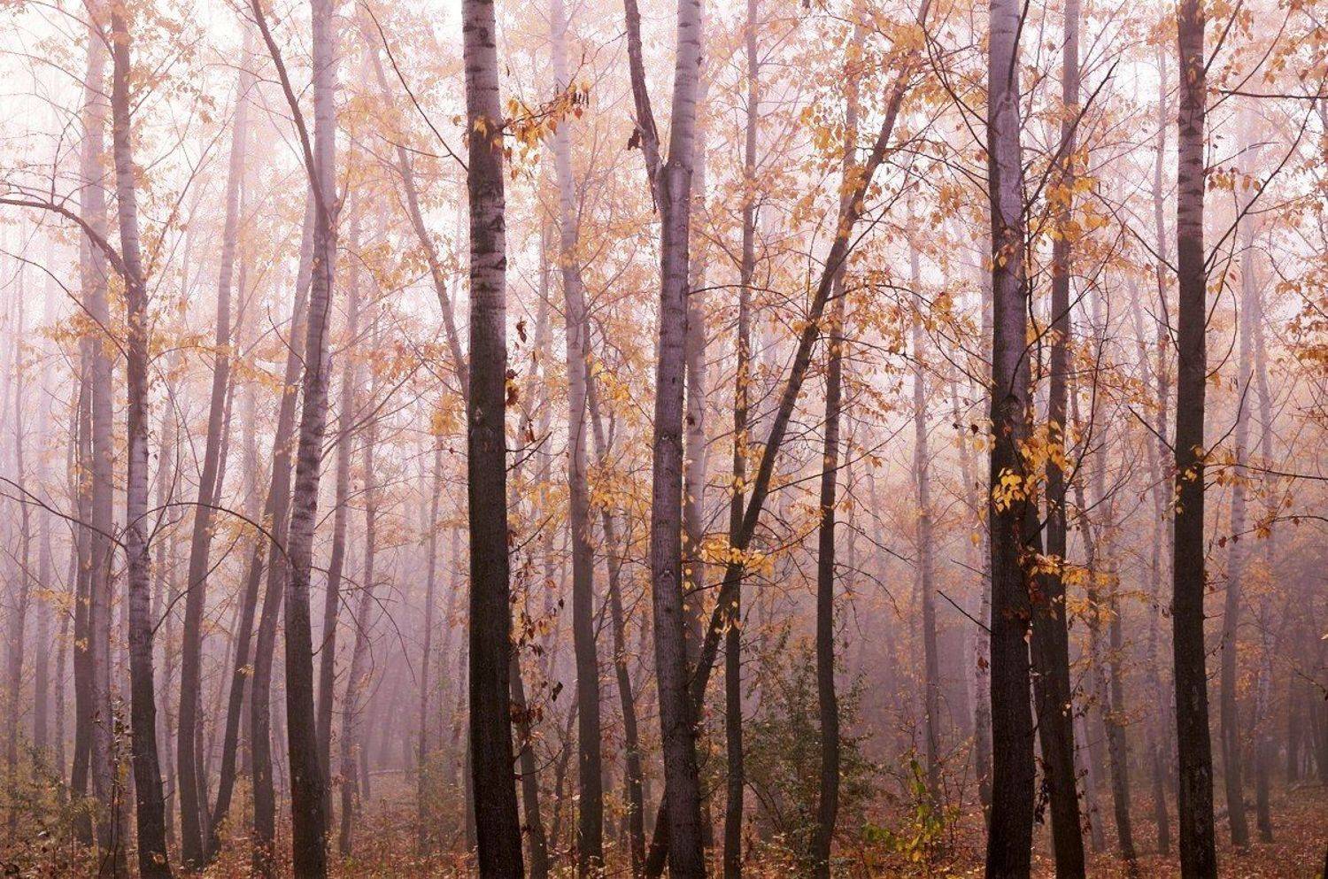 , Александр Филатов