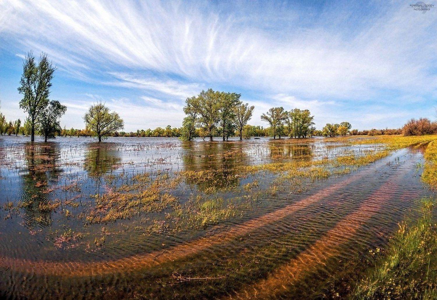 , Попрошаев Сергей