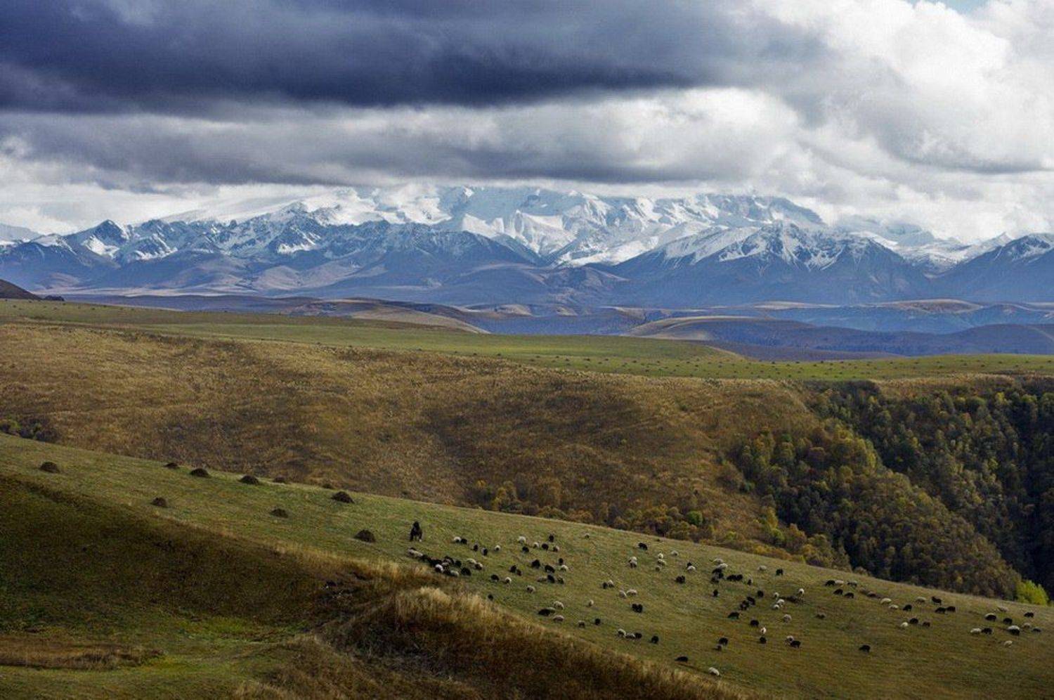Эльбрус, Андрей Закатимов