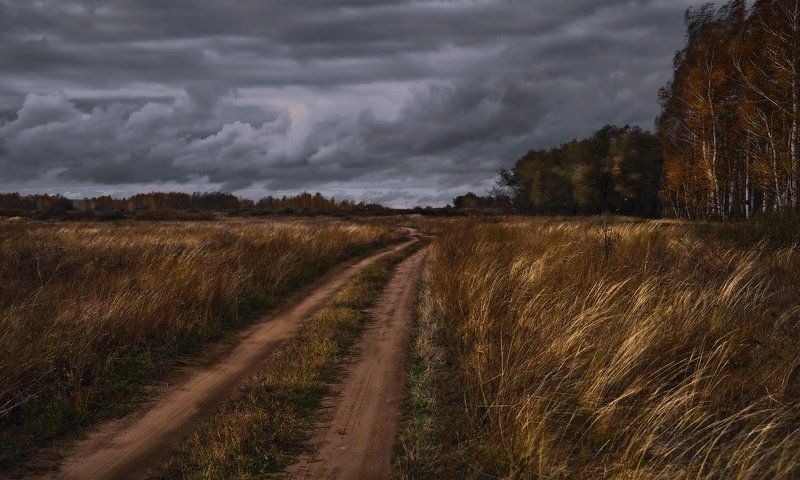 Уж небо осенью дышало... фото превью