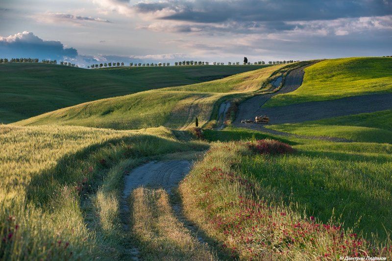 *** фото превью