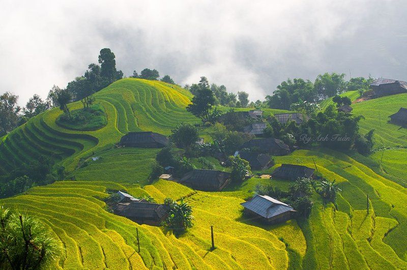 Phùng Village фото превью