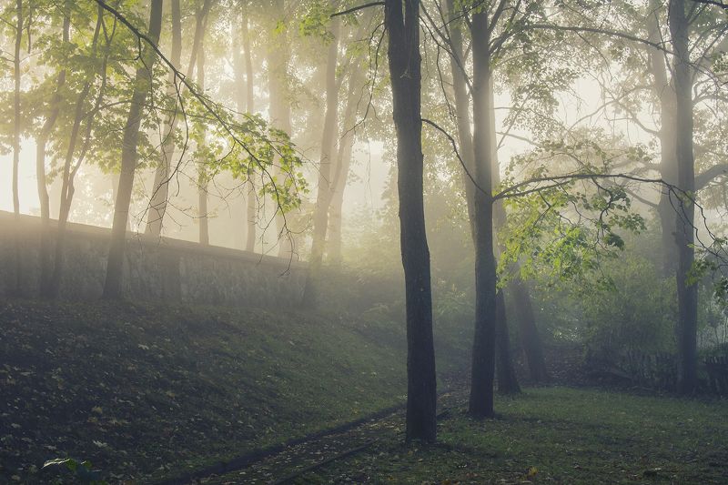 Ленивое осеннее утро фото превью